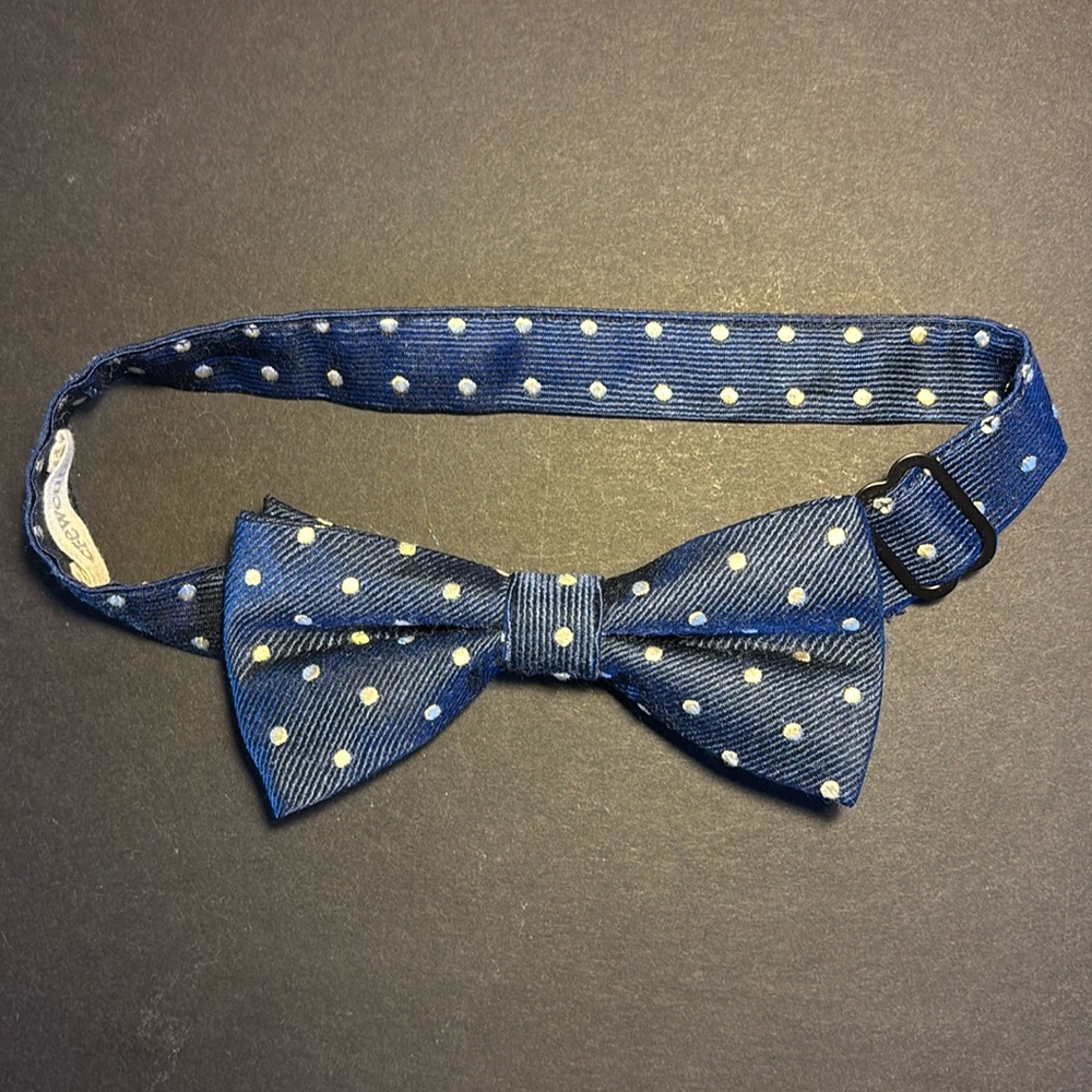 Patterned Silk Bow Tie by Crewcuts